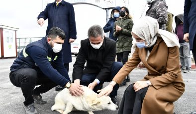 Başkan Köse Sokak Köpeği Sahiplendirdi