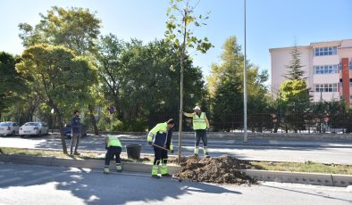 Polatlı’da ANFA Ekipleri Ağaç Dikim Çalışması Yapıyor