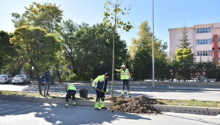 Polatlı’da ANFA Ekipleri Ağaç Dikim Çalışması Yapıyor
